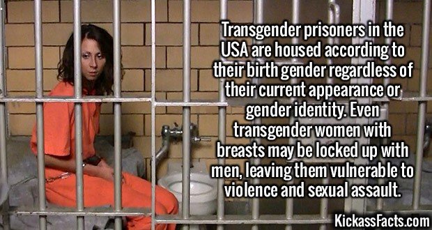 2223-Prisoners.jpg