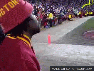 wale-redskins-o.gif