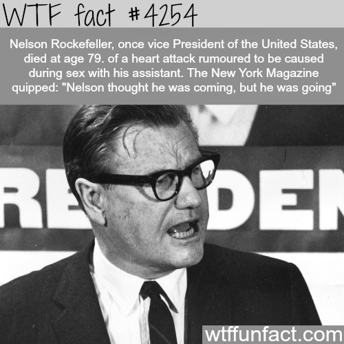 tumblr_nr8sq8cGOf1roqv59o1_500.png