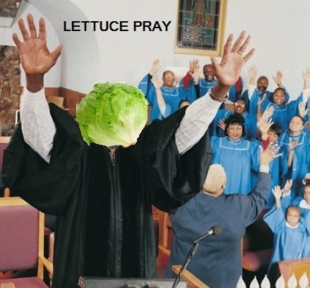 tumblr_m5eslgDygf1qj26eao1_500.jpg