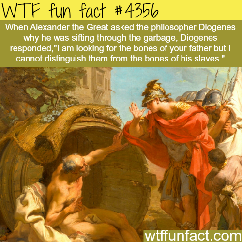 tumblr_nscwb3eg0x1roqv59o1_500.png