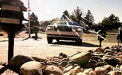 tumblr_ms4e55s9n01qb4op4o3_250.gif
