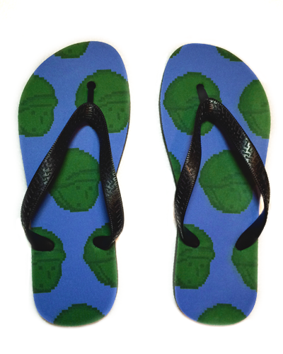 FlipFlops_Blue_Top.png