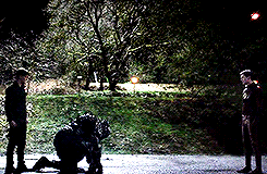 tumblr_opeh6tD5n21tnvsx0o10_250.gif