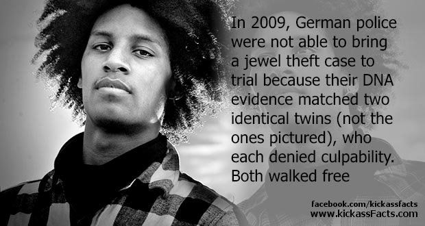 19Identical-Twins2.jpg