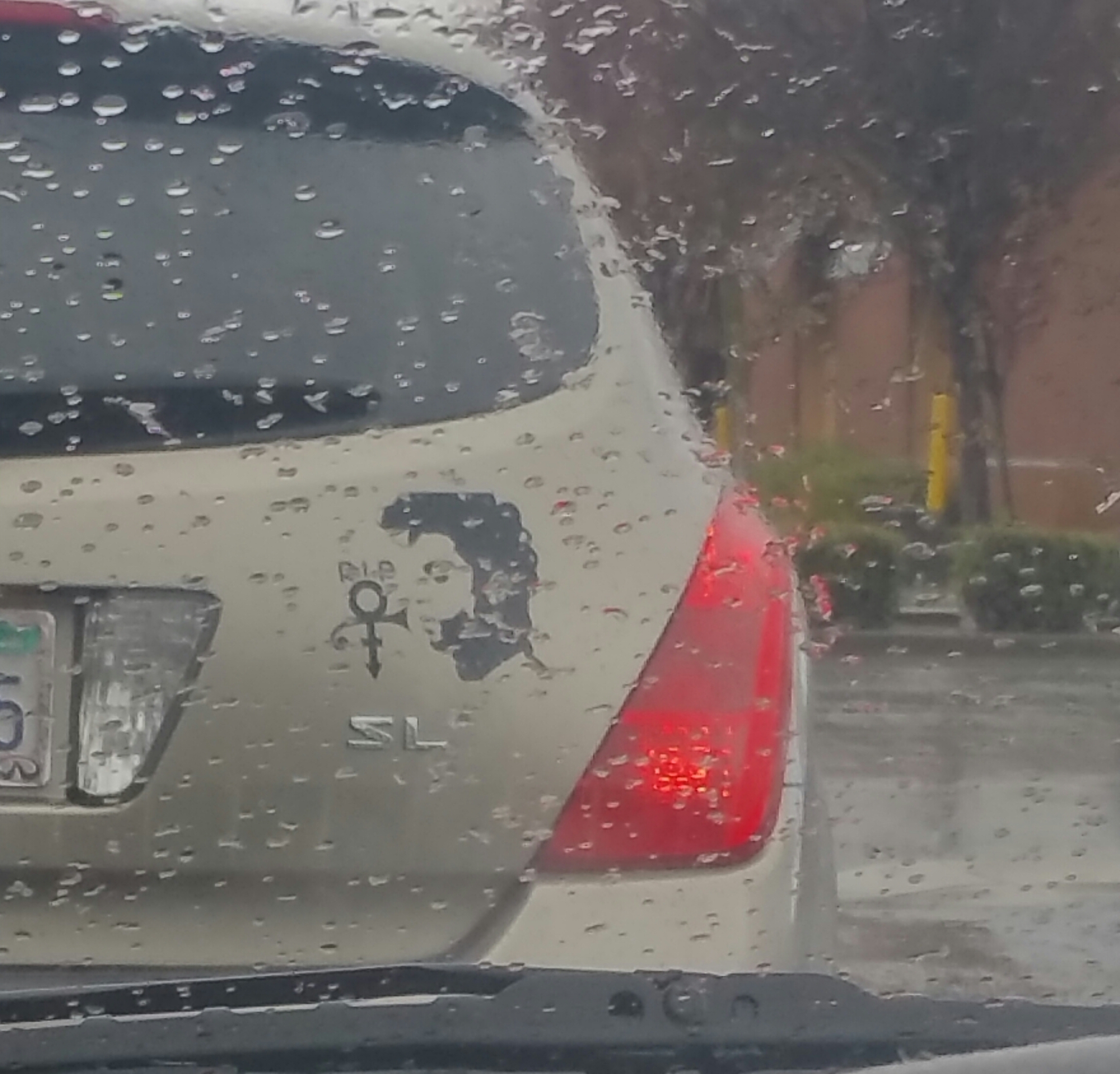 8wmgdooboccx.jpg
