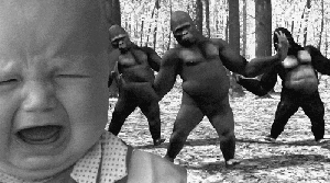 tumblr_n4asewAjUL1tzpkfuo1_400.gif
