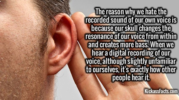 2213-Listening-to-Own-Voice1.jpg