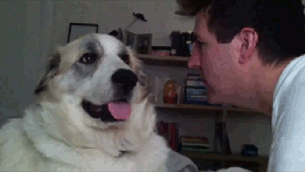 06y4l1tnzpcm.gif