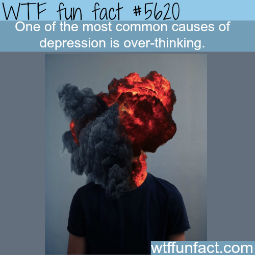tumblr_o5kzmgXmoI1roqv59o1_500.png