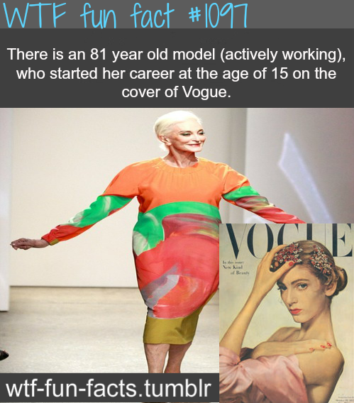 tumblr_mhbh79SBOZ1roqv59o1_500.png