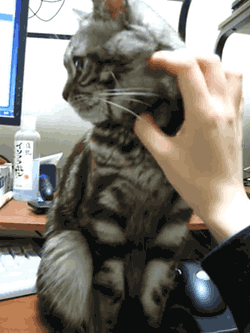 notinthemood.gif