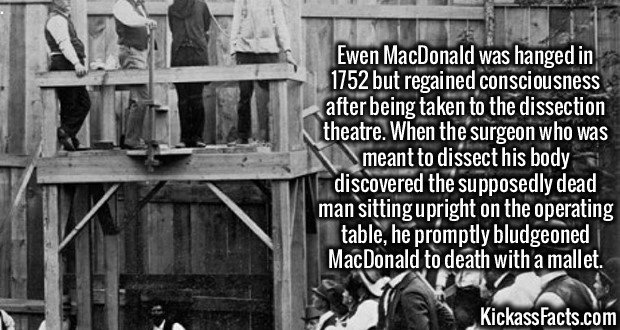 2082-Ewen-MacDonald.jpg