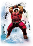 13_sf4charart04t.jpg
