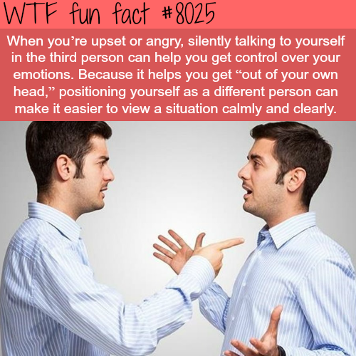 tumblr_oxp311K8EW1roqv59o1_500.png