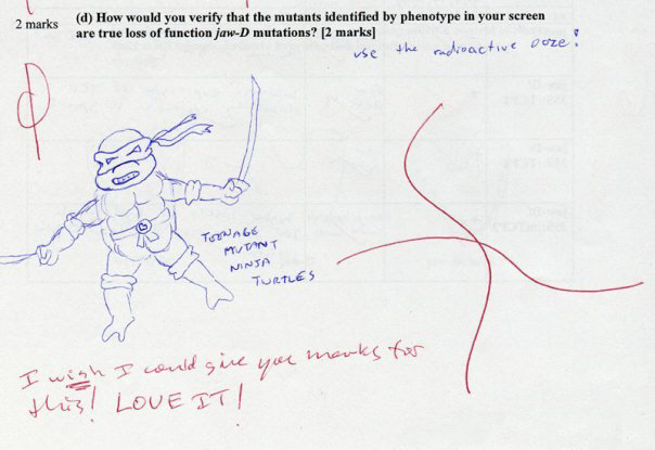 answer9.jpg