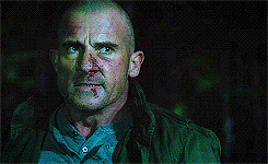 tumblr_o3huc6NA1i1v7xoxgo7_250.gif