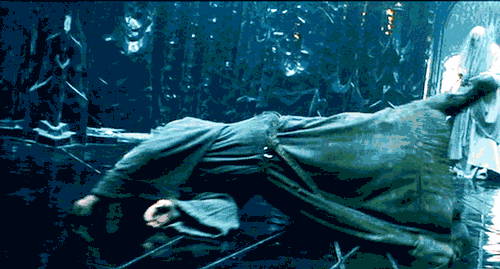 tumblr_nbrq4oCPy61qb5gkjo1_500.gif