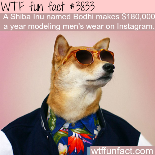 tumblr_nmnfptlmrz1roqv59o1_500.png