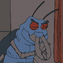 ut2zq6nlrdf2.gif