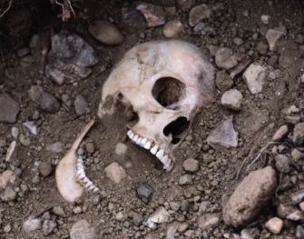 skeleton.jpg
