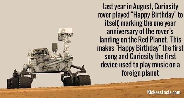 449Curiosity.jpg