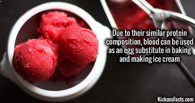 1073-Egg-Substitute-Blood.jpg