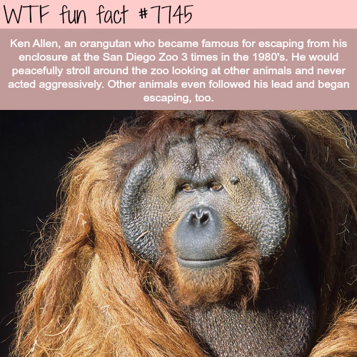tumblr_otmkyjgllC1roqv59o1_500.png