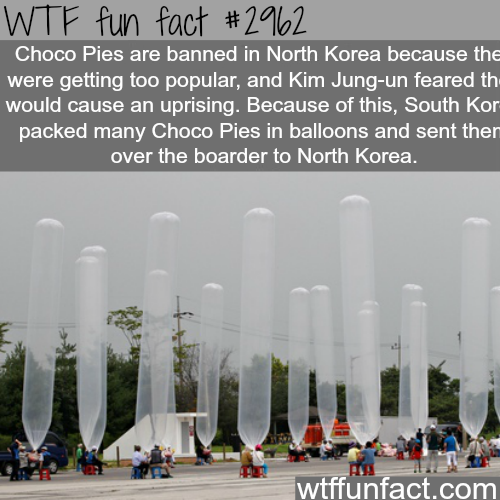 tumblr_nbm3ccjlnK1roqv59o1_500.png