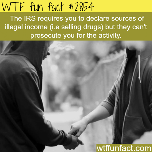 tumblr_na5bv1E2q41roqv59o1_500.png
