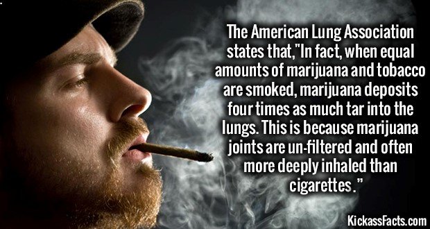 1160-Marijuana-Smoking.jpg