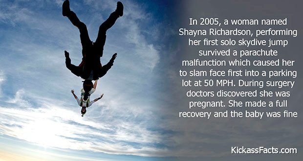 181SkyDiving.jpg