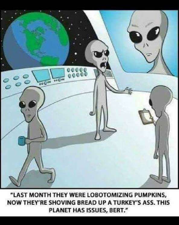 hglvbtdnuavb.jpg