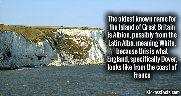 942-Albion.jpg