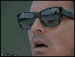 r4jb33jvwogr.gif