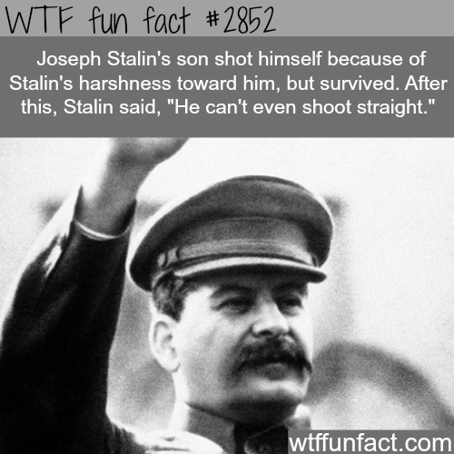 tumblr_na456wHBKq1roqv59o1_500.png