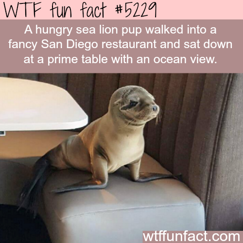 tumblr_o26xl9v60w1roqv59o1_500.png