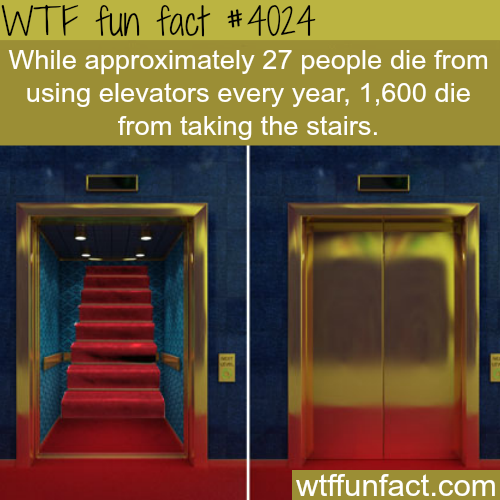 tumblr_nottzdk55r1roqv59o1_500.png