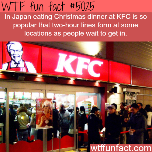 tumblr_nzx9piSl4G1roqv59o1_500.png