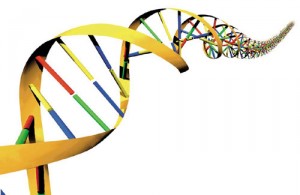 dna-cloud-300x195.jpg
