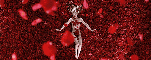 tumblr_mojhndUe391rso90xo1_500.gif