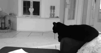 tumblr_mclbcgLExK1qb5gkjo1_400.gif