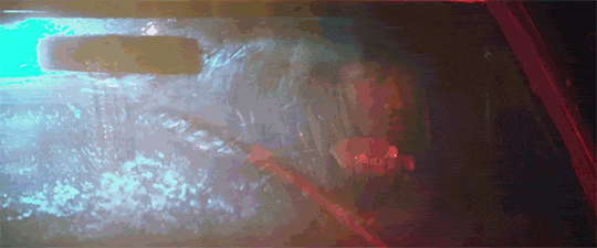 qc6p91n6xsdy.gif