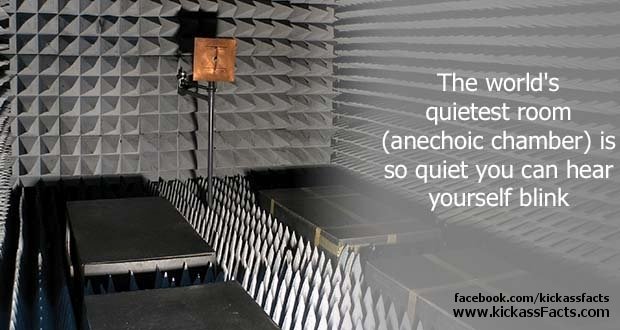 06Anechoic-chamber2.jpg