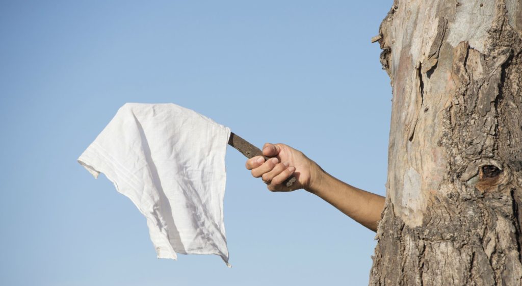 white-flag-resized-1024x561.jpg