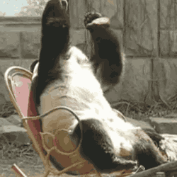 5hgdzx5ax37a.gif
