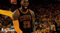 d11vvmoa7n3p.gif