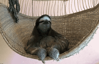 tumblr_mjbmdjPoli1rf5r2do1_400.gif