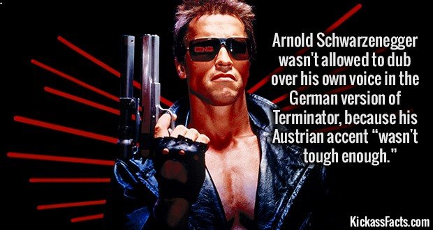 1149-Arnold-Schwarzenegger.jpg