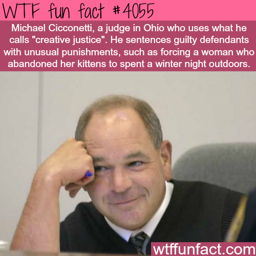 tumblr_np63lpVbZE1roqv59o1_500.png